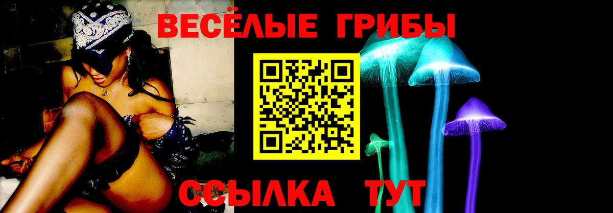 Галлюциногенные грибы Psilocybe  Вход с VPN  Печора 